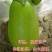 青茄果实表面油绿发亮，果形长卵圆形，果肉青白色，肉质细嫩
