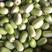 玉女黄瓜承接各市场，商超品质货源充足价格美丽