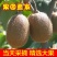 猕猴桃园生态基地新鲜猕猴桃预售开始即将成熟挂果
