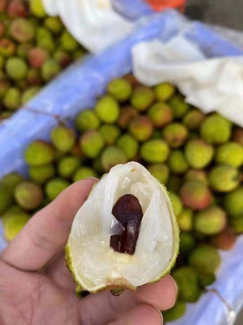 越南进口水荔枝