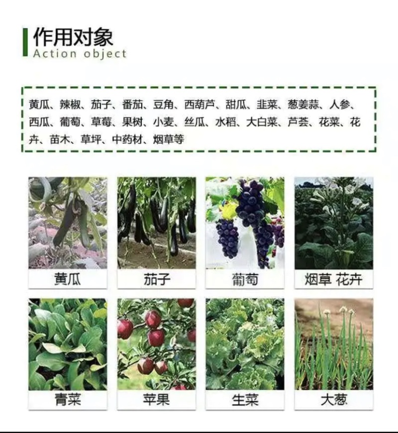 鲁西硝酸铵钙50公斤包装农用水溶肥冲施肥