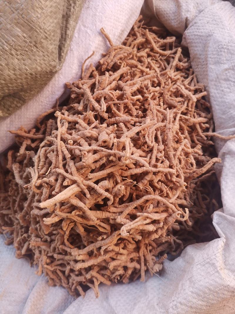 优质山西远志抽芯无杂净货量大从优规格齐全