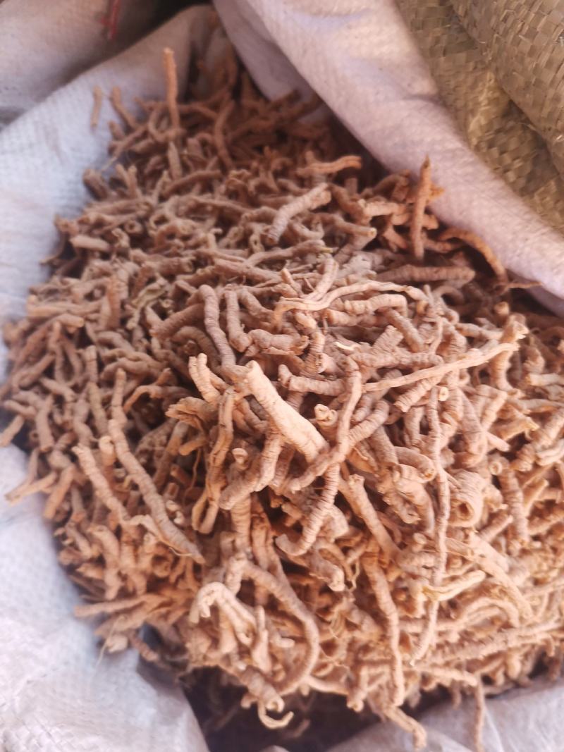 优质山西远志抽芯无杂净货量大从优规格齐全