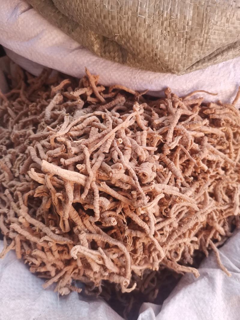 优质山西远志抽芯无杂净货量大从优规格齐全