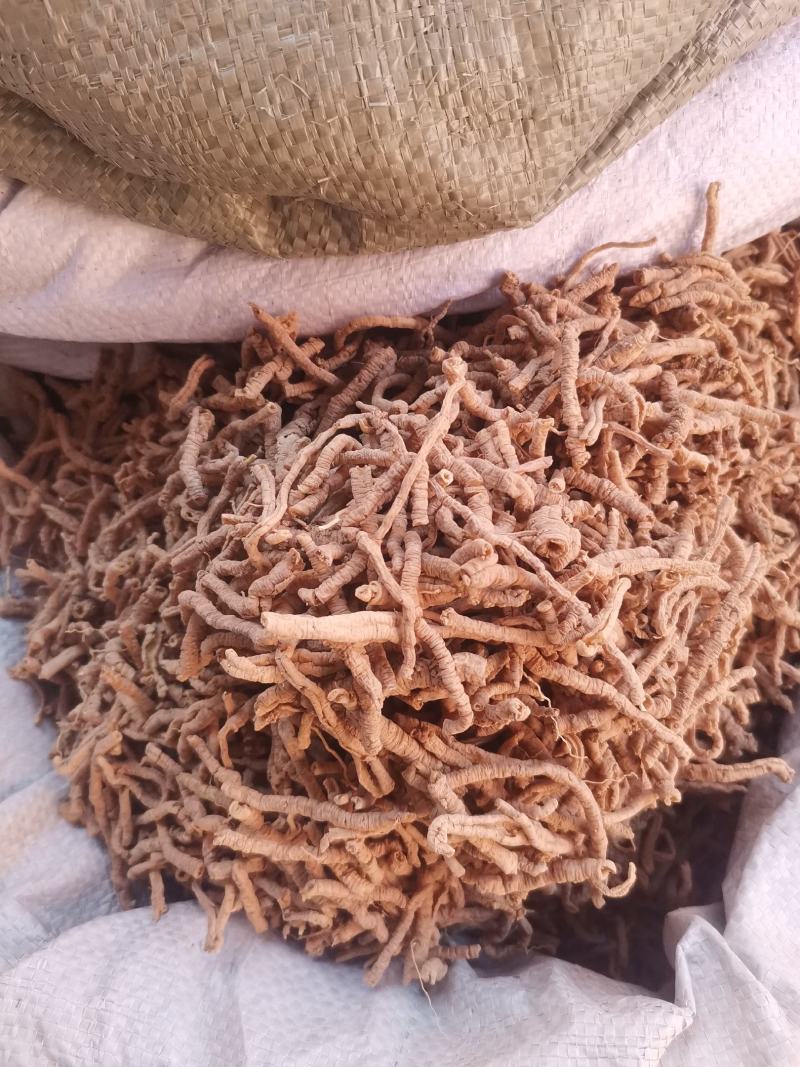 优质山西远志抽芯无杂净货量大从优规格齐全