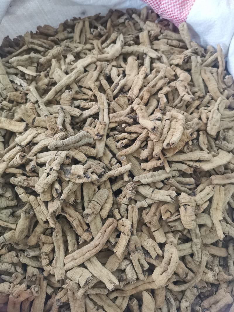 优质广东巴戟天抽芯好肉规格齐全货干无杂欢迎选购