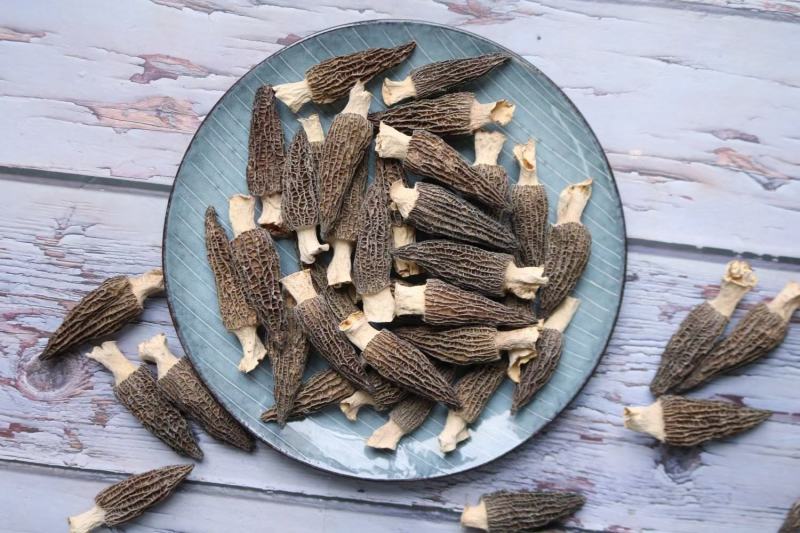 广州人中号精品厚肉羊肚菌云南特产营养菌菇煲汤食材