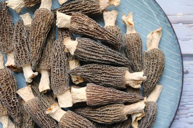 广州人中号精品厚肉羊肚菌云南特产营养菌菇煲汤食材