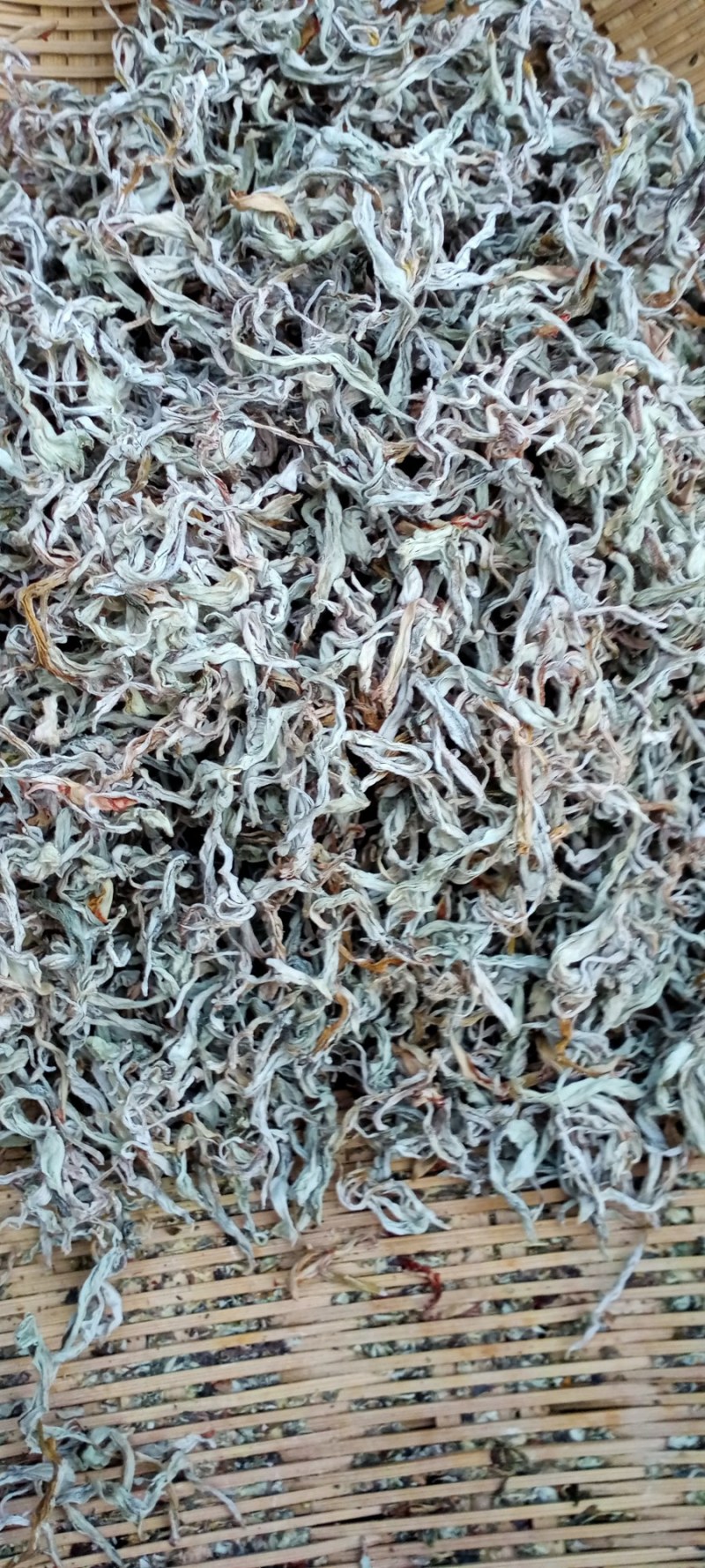 老鹰茶