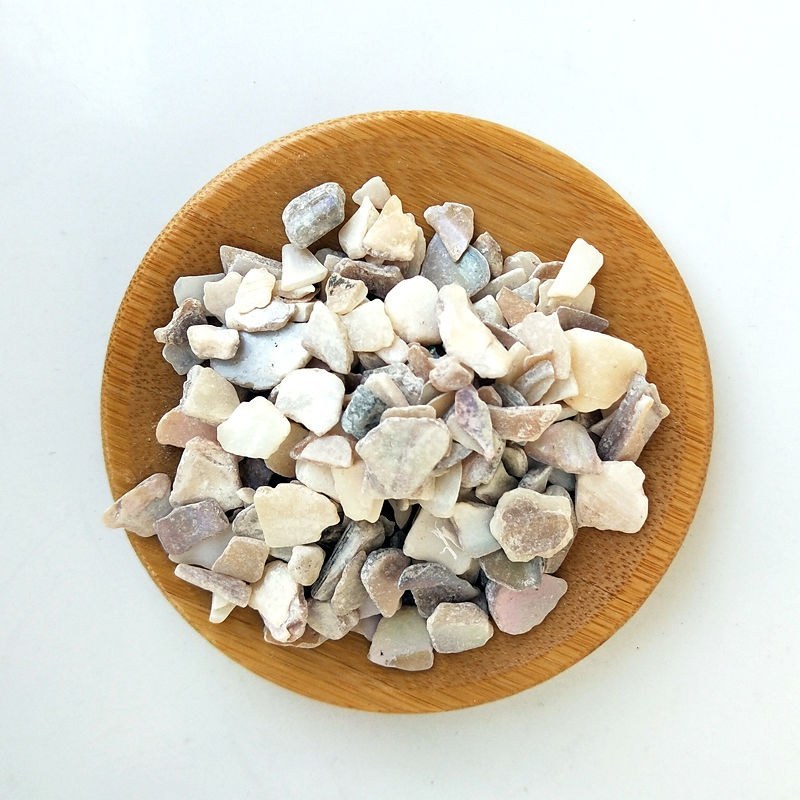 中药材珍珠母珍珠母珠母真珠母明珠母蚌壳有粉5