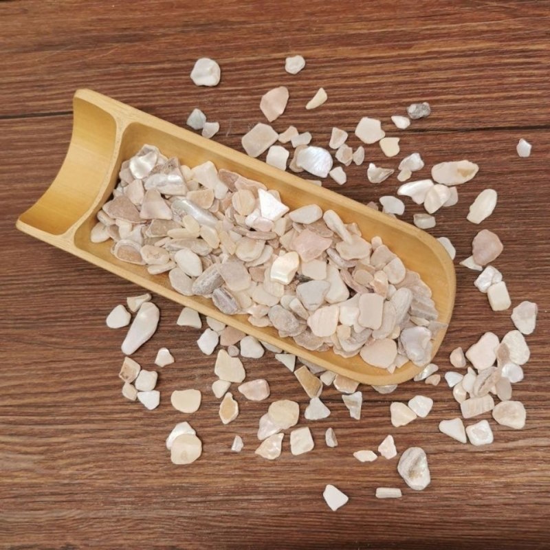 中药材珍珠母珍珠母珠母真珠母明珠母蚌壳有粉5