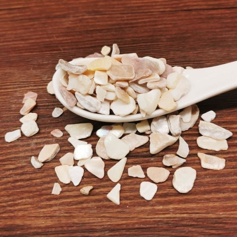 中药材珍珠母珍珠母珠母真珠母明珠母蚌壳有粉5