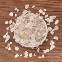 中药材珍珠母粉珍珠母真珠母明珠母另有珍珠粉