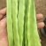赶集货，上货快，芸豆，扁青，价格随行！