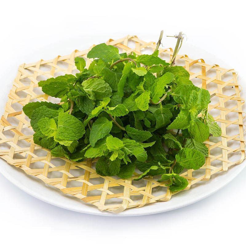 食用薄荷种子留兰香薄荷四季种植易活蔬菜种子柠檬香水薄荷