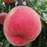 山东沂蒙山精品红桃产区，突围，春雪，大红桃等等红桃系列，