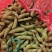 广西柳州精品毛豆大量上市，欢迎新老客户下单