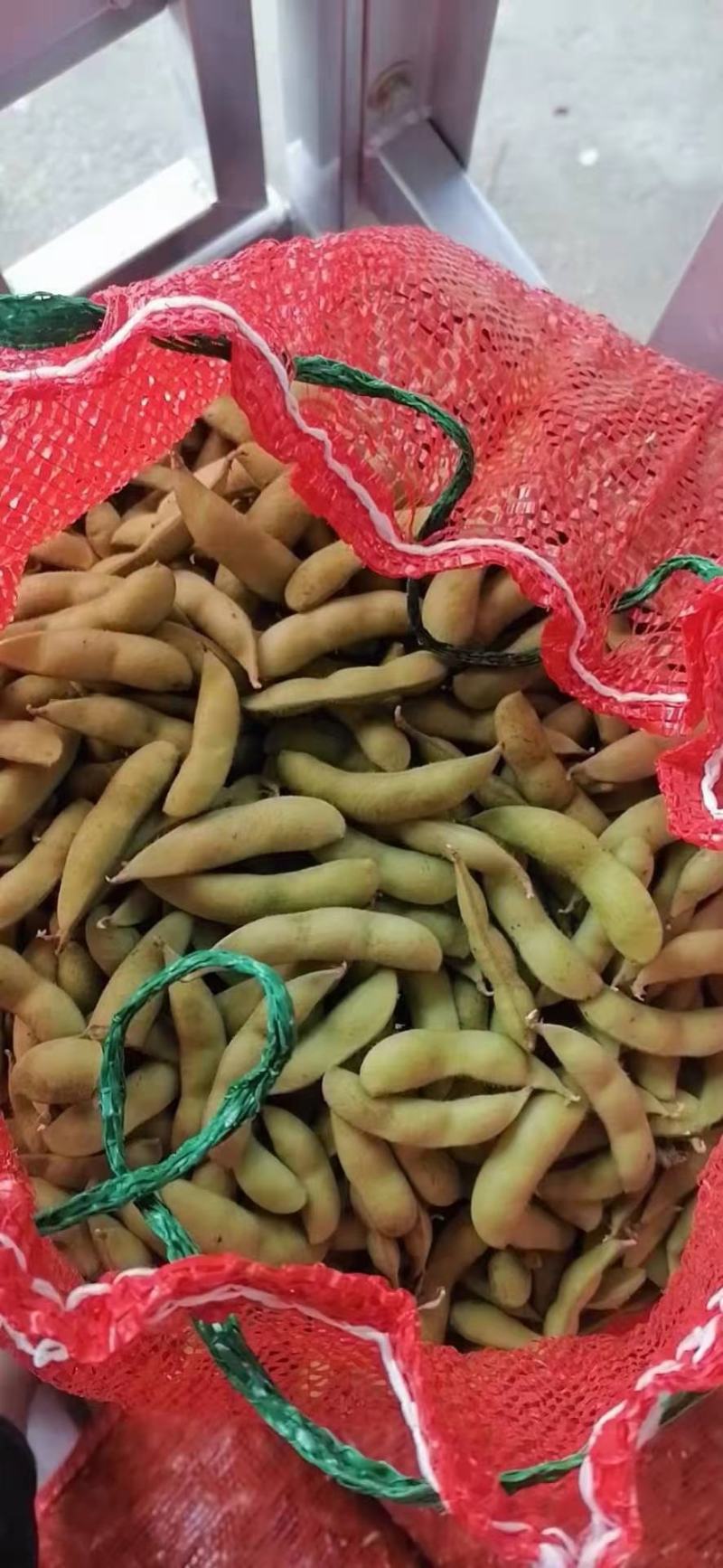 广西柳州精品毛豆大量上市，欢迎新老客户下单