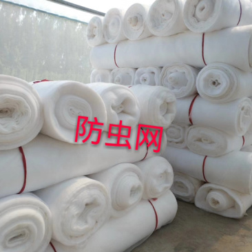 厂家直销厚款60目防虫网，厂家直销，大量现货供应，