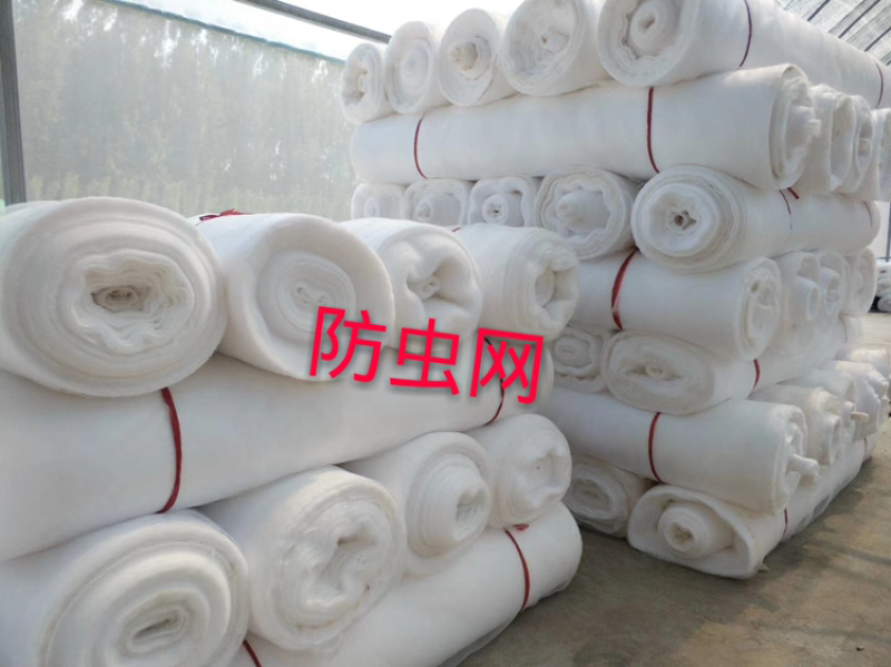 厂家直销厚款60目防虫网，厂家直销，大量现货供应，