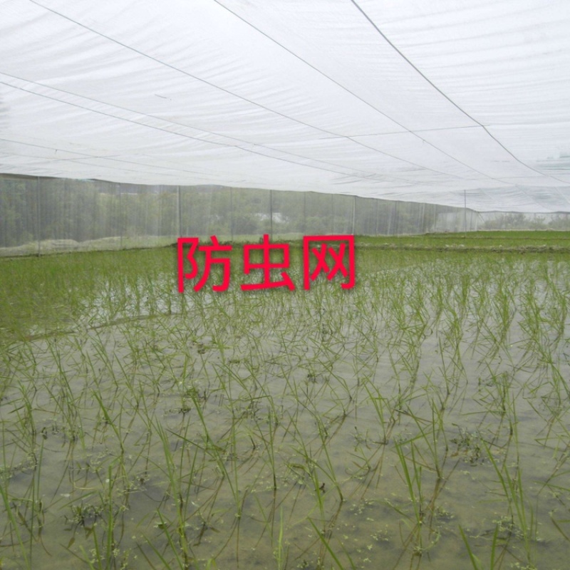 厂家直销厚款60目防虫网，厂家直销，大量现货供应，