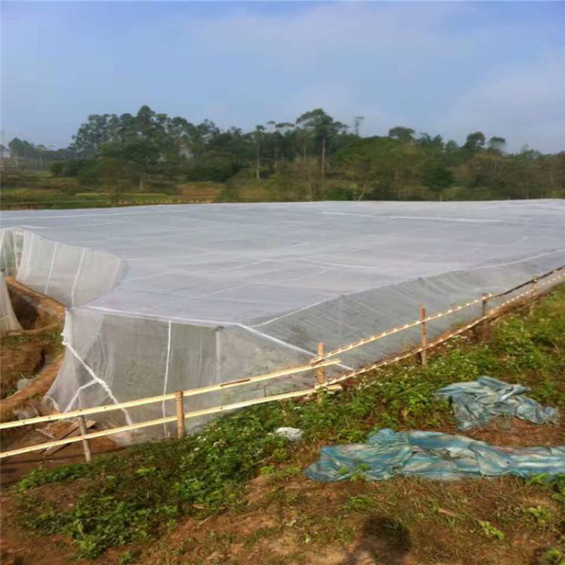 厂家直销厚款60目防虫网，厂家直销，大量现货供应，