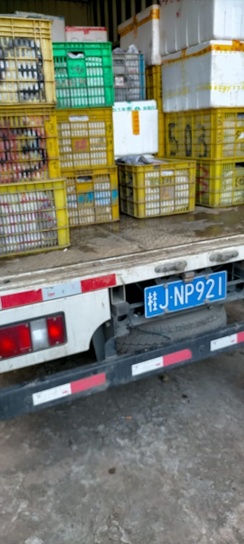 广西贵港市平南县银妃三华李大量上市产地直发