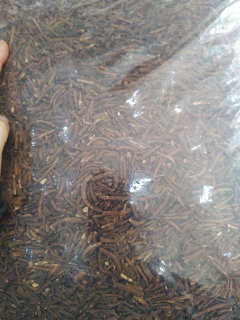 【超低价批发!长白山炒制蒲公英根茶】无提取味道香真好喝!