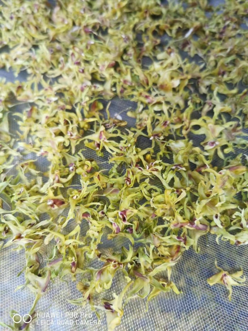 霍山石斛基地石斛花无硫石斛花-农家石斛花50装
