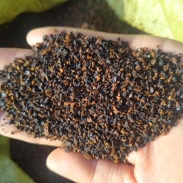 【超便宜！桦树茸黑晶颗粒】一手货源品质好价格低