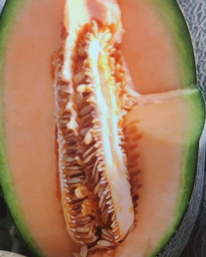 哈密瓜西州蜜玉菇网纹美华牛三黄皮产地直发