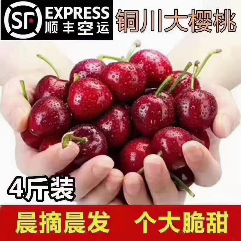 樱桃