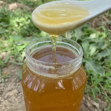 阿克苏冰糖心苹果花土蜂蜜，品质纯一公斤一瓶，一瓶起发货。