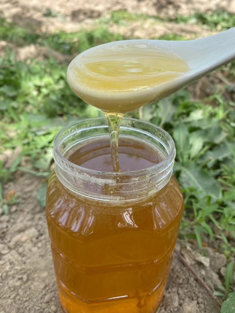 阿克苏冰糖心苹果花土蜂蜜，品质纯一公斤一瓶，一瓶起发货。