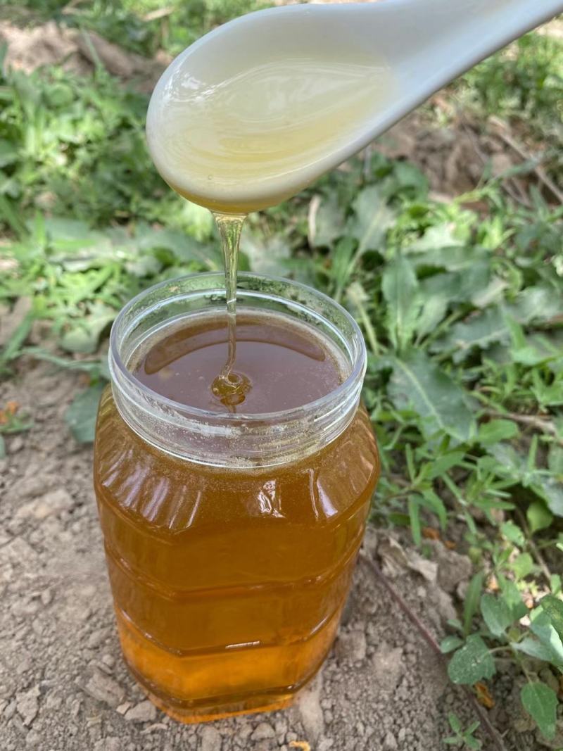 阿克苏冰糖心苹果花土蜂蜜，品质纯一公斤一瓶，一瓶起发货。