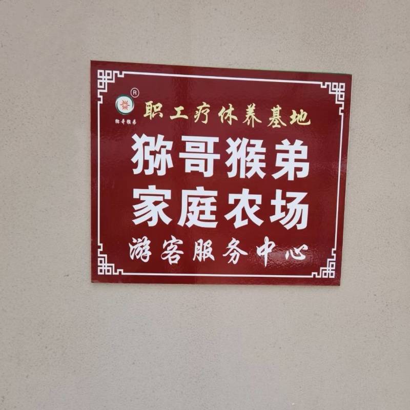 鲜甜多汁的白枇杷红枇杷自家高山果园基地现摘