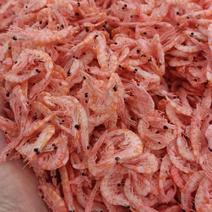 南极鳞虾，盐分很低，都是新货没有黄头，单箱9斤装。