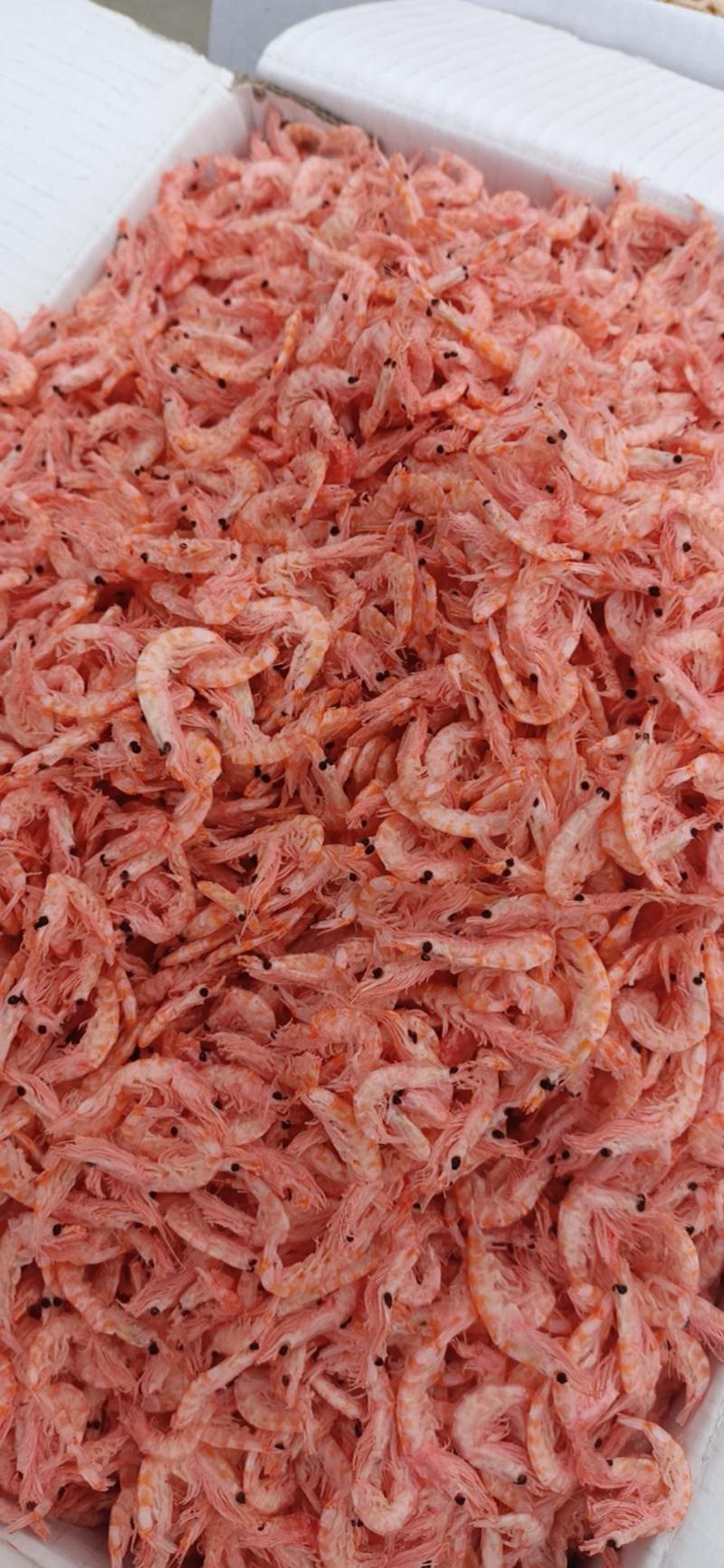 南极鳞虾，盐分很低，都是新货没有黄头，单箱9斤装。