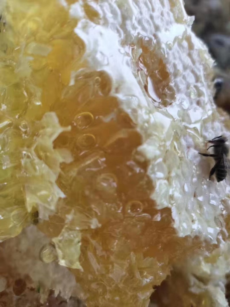 蜂蜜