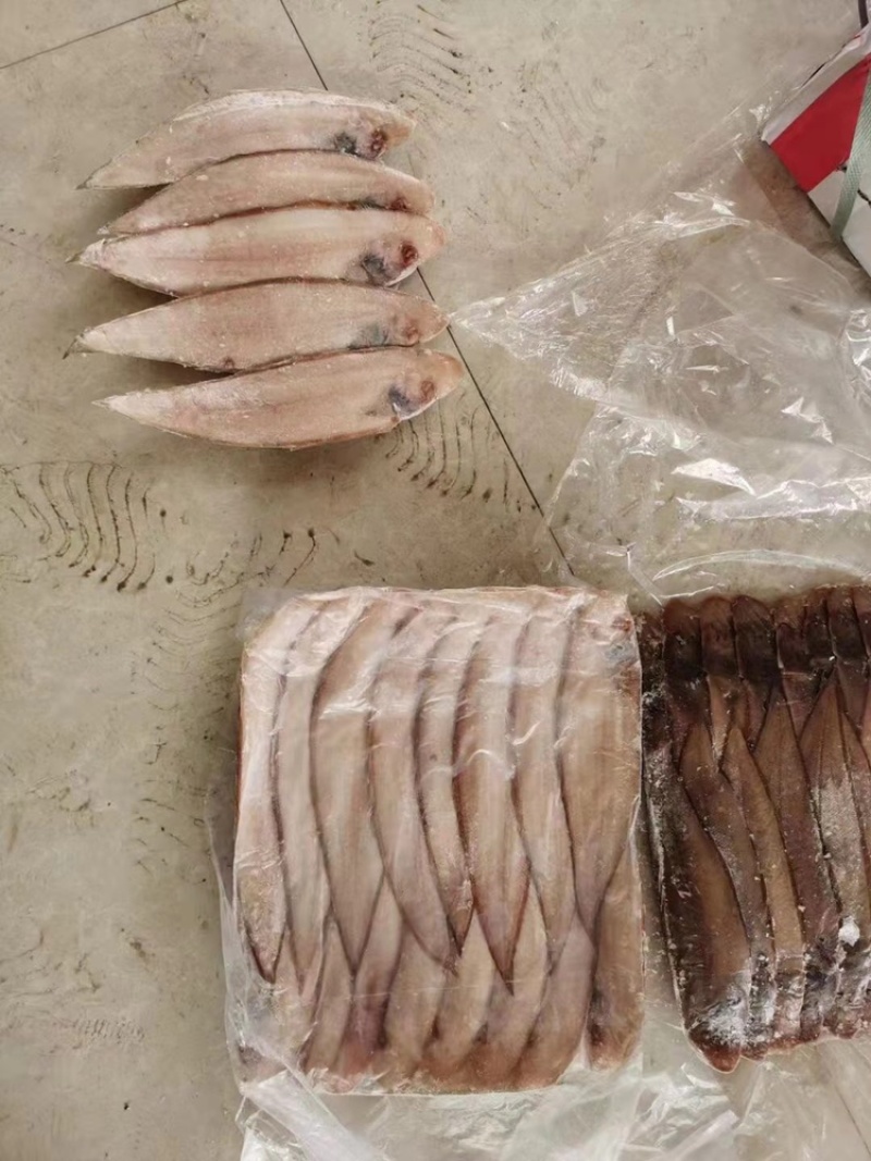 龙利鱼、舌头鱼、踏板鱼、牛舌鱼、目鱼新鲜冷冻水产
