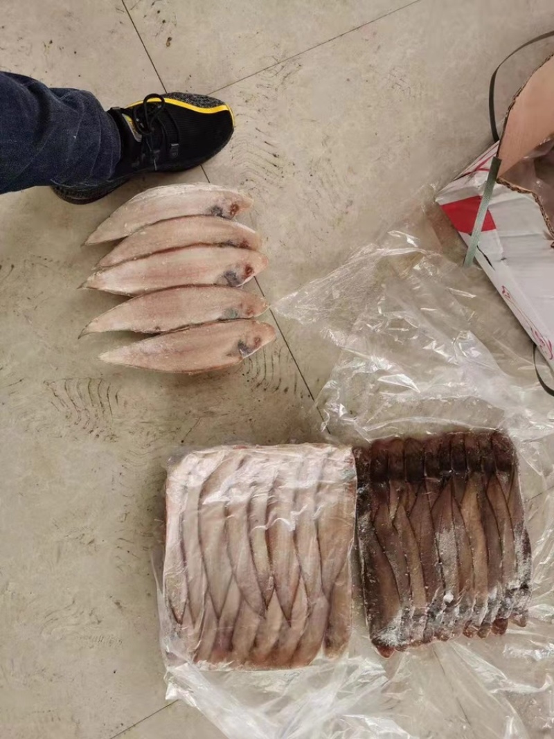 龙利鱼、舌头鱼、踏板鱼、牛舌鱼、目鱼新鲜冷冻水产