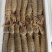 速冻皮皮虾皮皮虾速冻皮皮虾