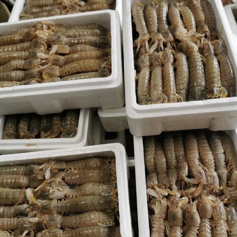 速冻皮皮虾皮皮虾速冻皮皮虾