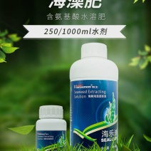 瀚生海乐迪酶解海藻提取液蕃茄辣椒黄瓜保花保果控旺全营养肥