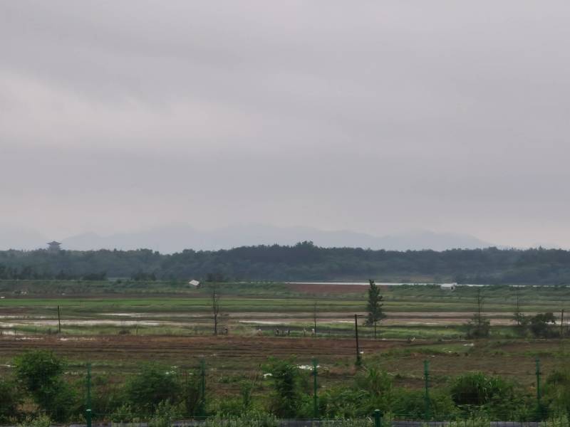 水浇地、旱地（地块临湖面，常年有水，适合种植，休闲农业）