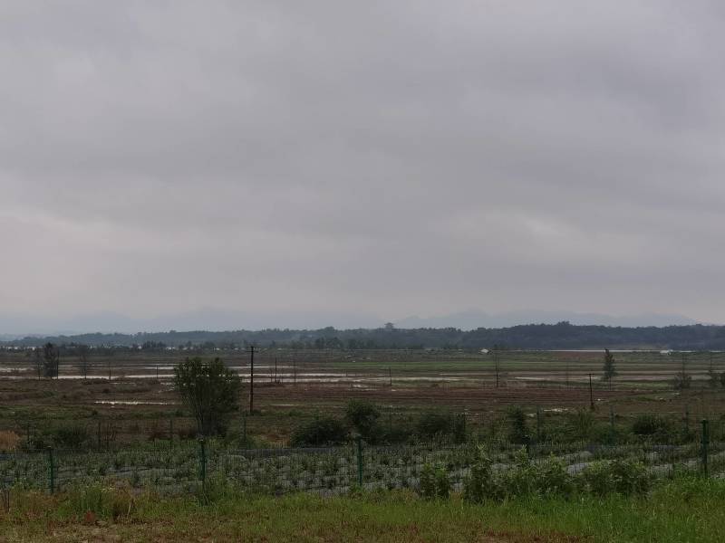 水浇地、旱地（地块临湖面，常年有水，适合种植，休闲农业）