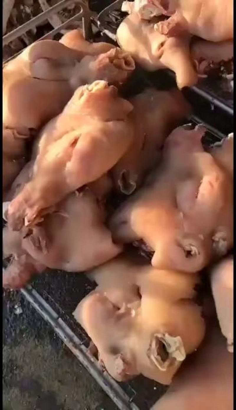 熟牛头肉，质量保证长期供应