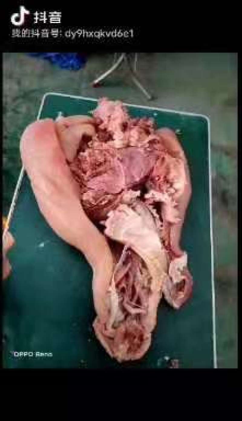 熟牛头肉，质量保证长期供应