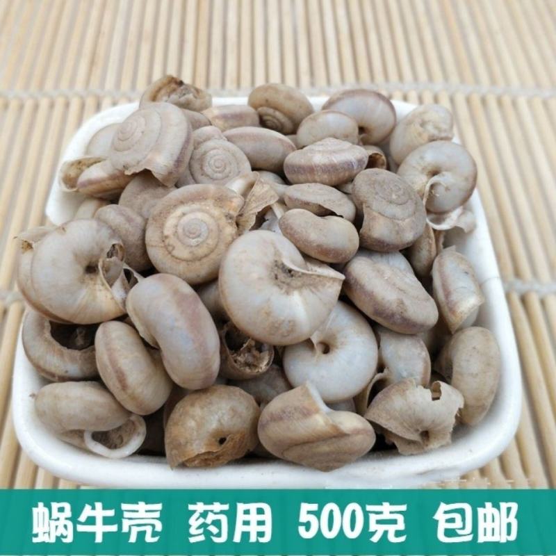 中药材蜗牛入药新货蜗牛壳野生旱蜗牛药用瓜牛里牛500克