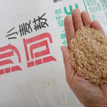 纯麸皮五得利金沙河益海大片混合细麸都有